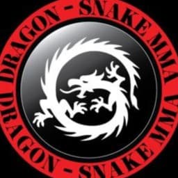 Dragon-Snake MMA & Fitness logo