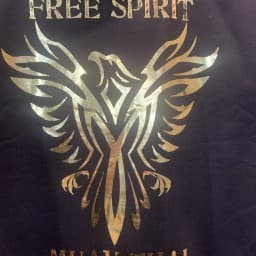Free Spirit Muay Thai Gym logo
