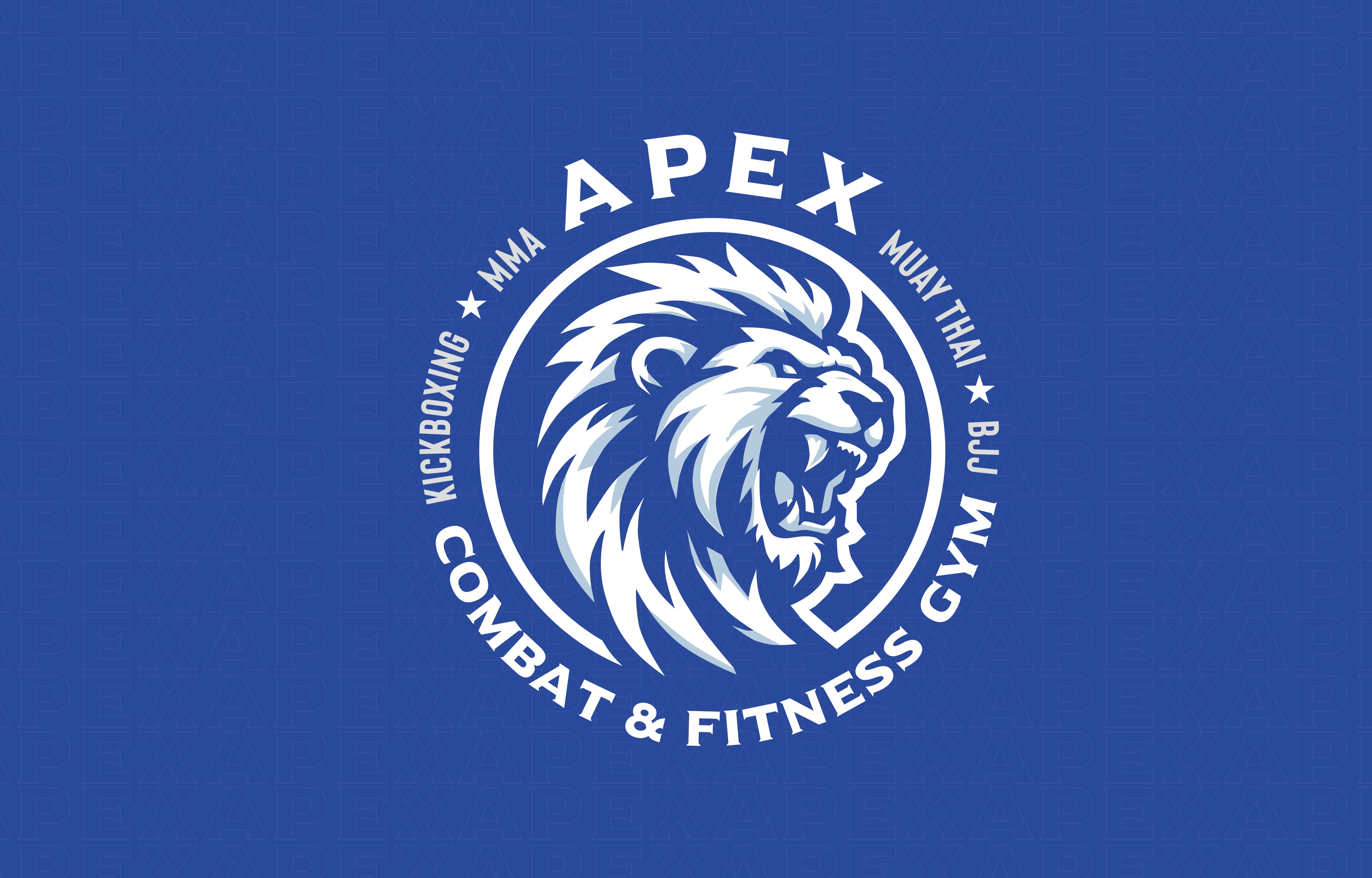 Exterior or interior of APEX COMBAT AND FITNESS GYM
