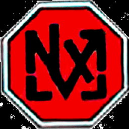Next Level MMA logo