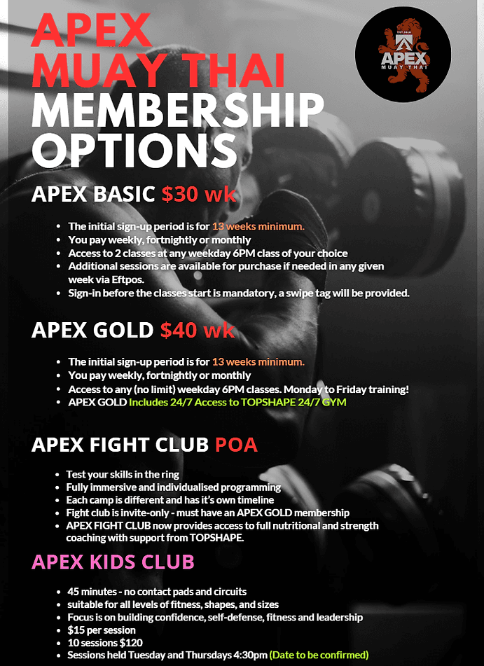 Exterior or interior of Apex Muay Thai