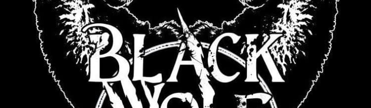 Exterior or interior of BlackWolf MMA