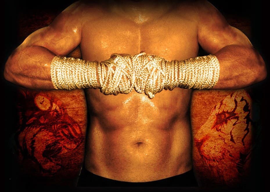 Exterior or interior of Bounded Fist Muay Thai