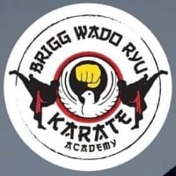 Brigg Wado Ryu Karate and Kickboxing Academy logo