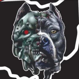 Bully MMA and Fitness logo
