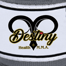 Destiny Health & MMA logo