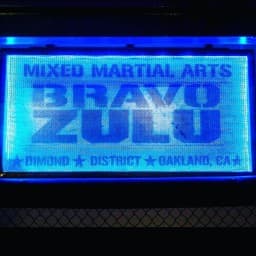 Mixed Martial Arts BRAVO ZULU logo