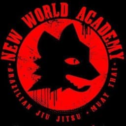 New World Academy MMA logo