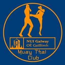 NUIG Muay Thai club logo