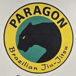Paragon Academy Jiu Jitsu-Boxing-Kickboxing Gym logo