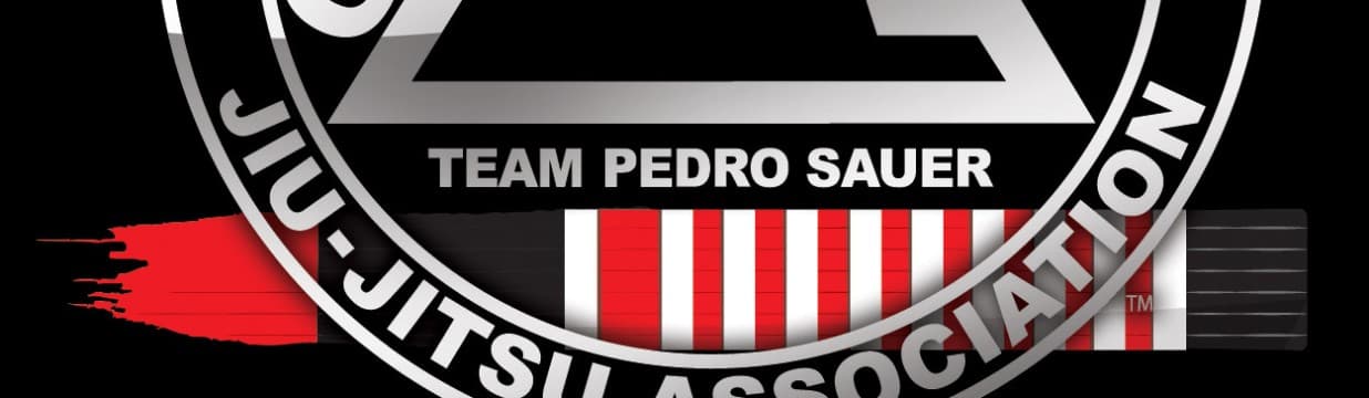 Exterior or interior of Pedro Sauer - Warrior Martial arts