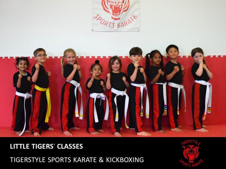 Exterior or interior of Tigerstyle Sports Karate and Kickboxing Centre