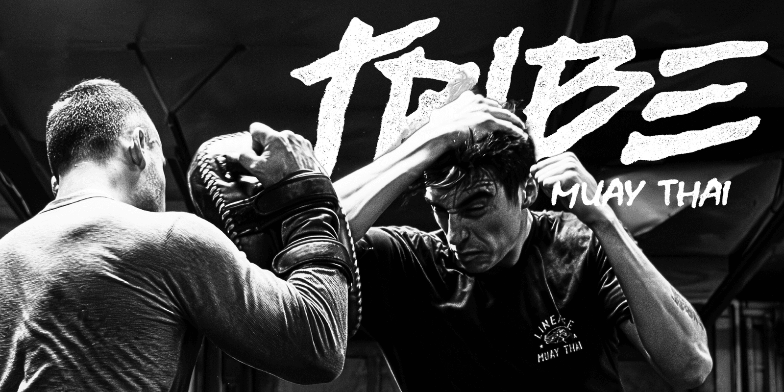 Exterior or interior of Tribe Muay Thai