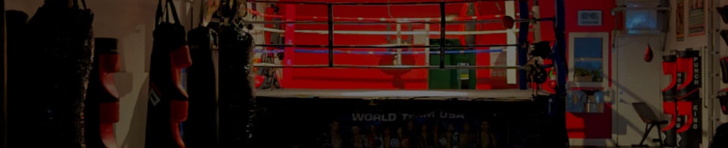 Exterior or interior of World Team USA Muay Thai BJJ & Fitness